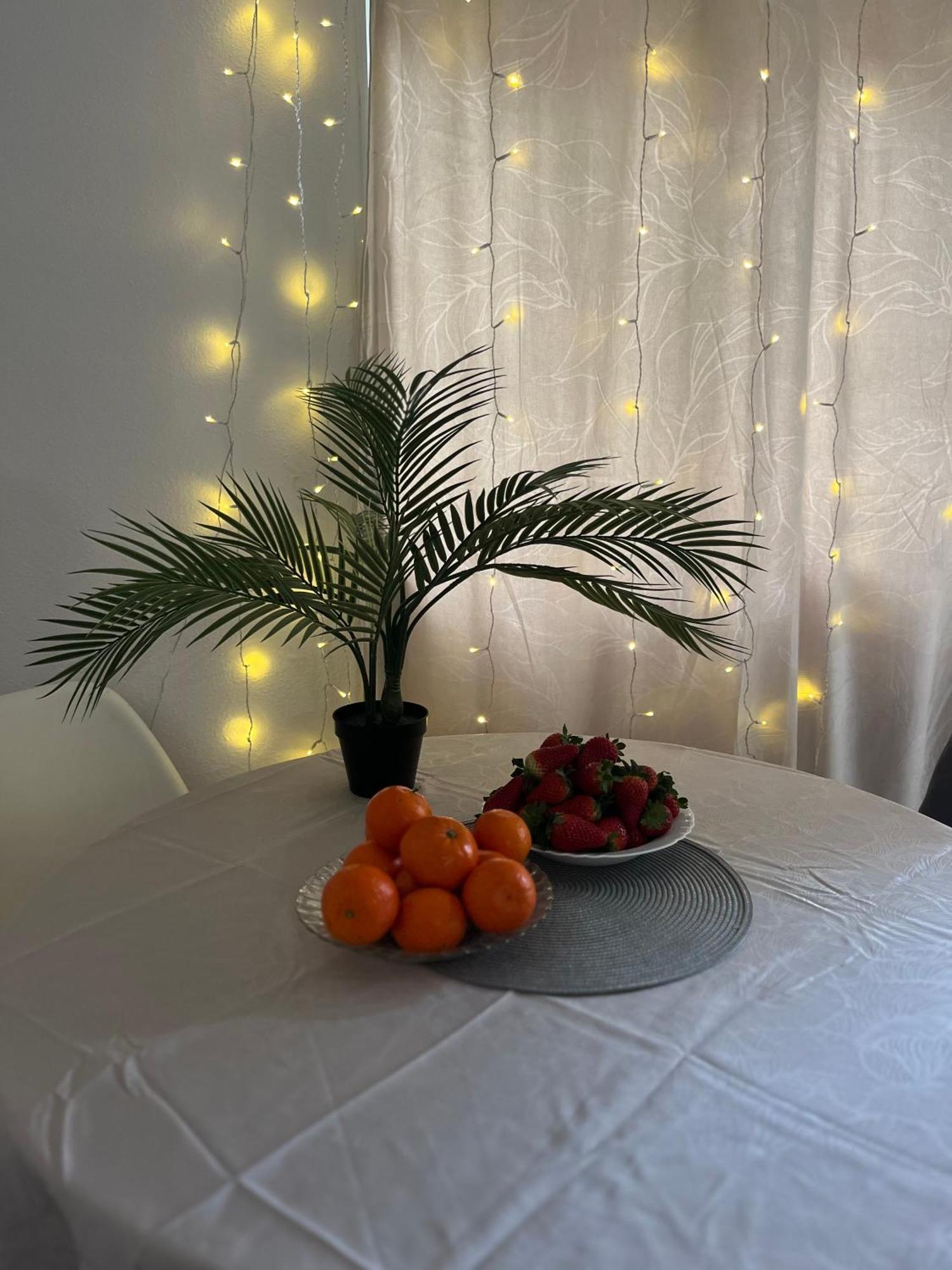 Magdalena Apartament ตอร์เรเวียคา ภายนอก รูปภาพ